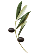 marserra-home-slider-bacalhau-element1