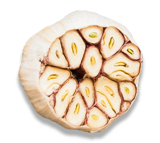 marserra-home-slider-bacalhau-element4