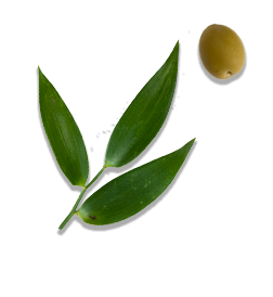 marserra-home-slider-bacalhau-element6
