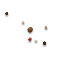 marserra-home-slider-carne-element4