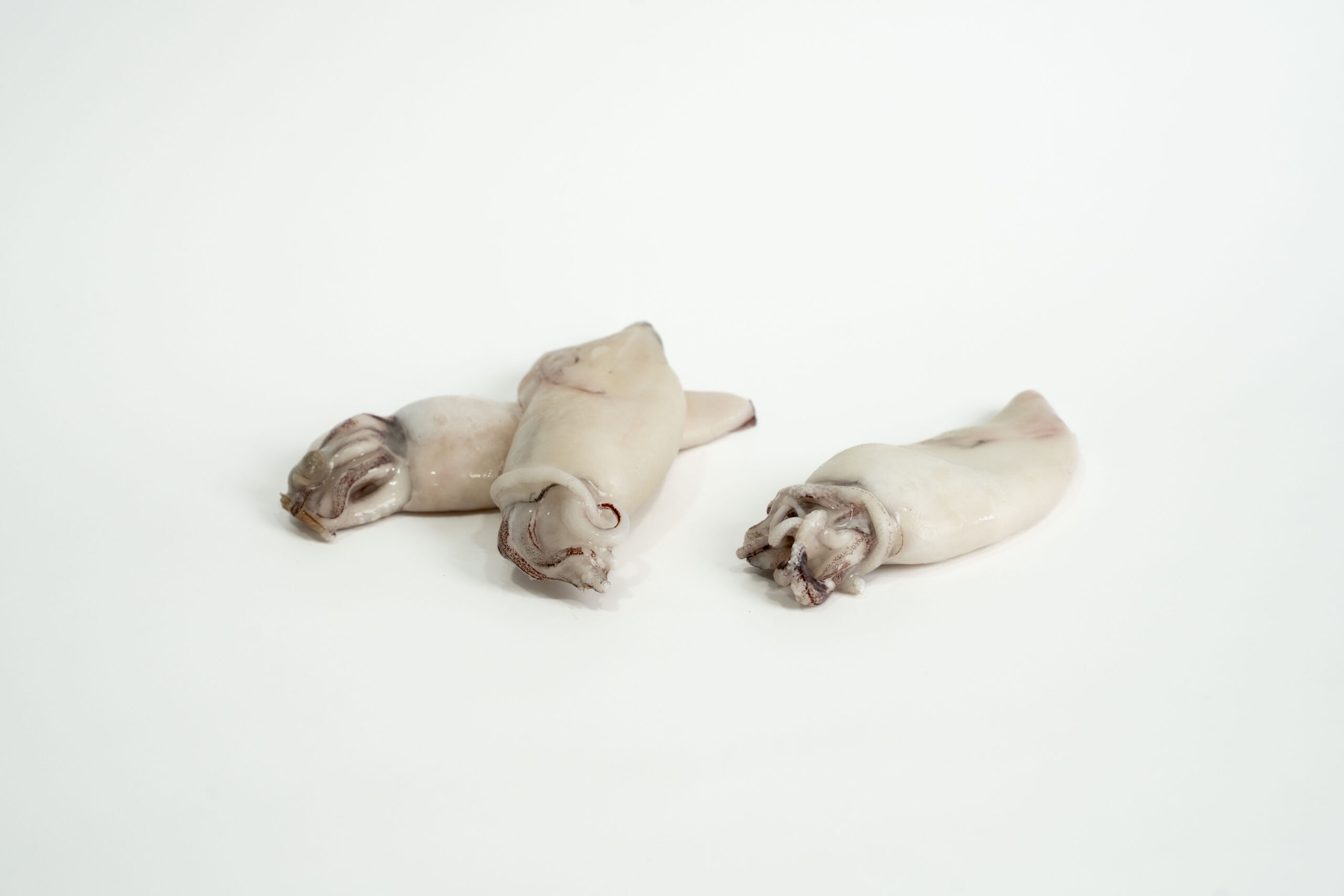 Lulas - Image 2