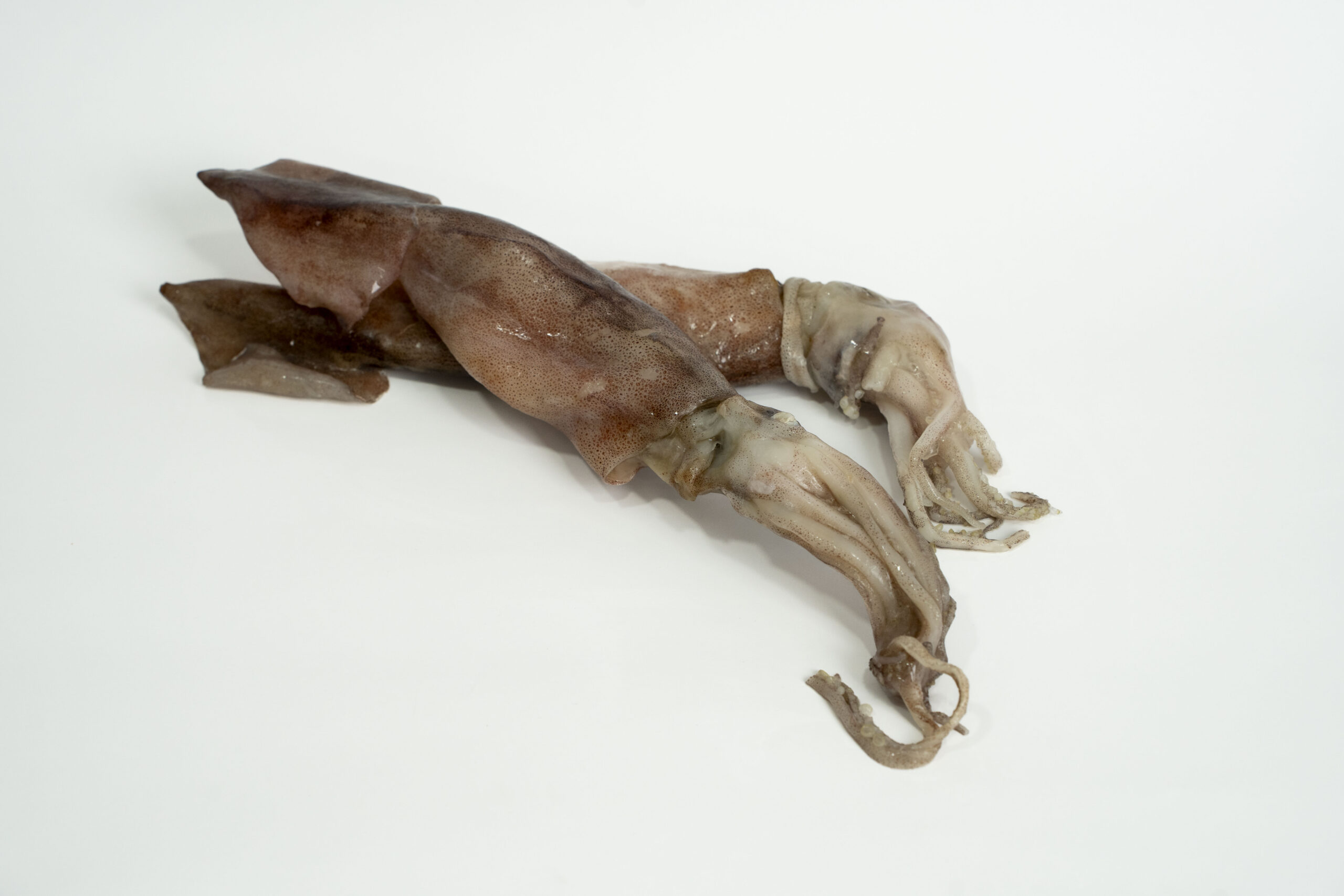 Potas - Image 2