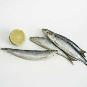 Sardinha