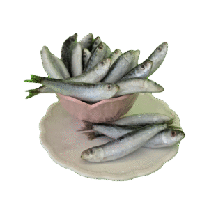 Sardinha Petinga